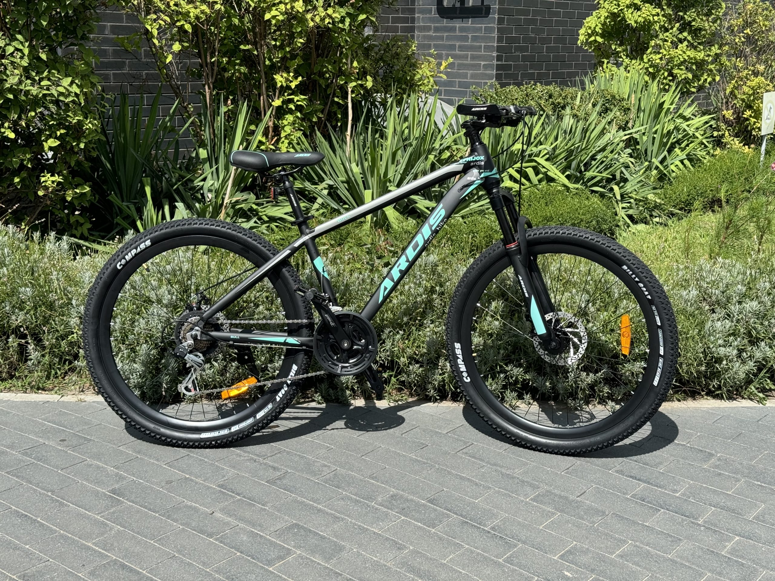 26 Ardis Bull
