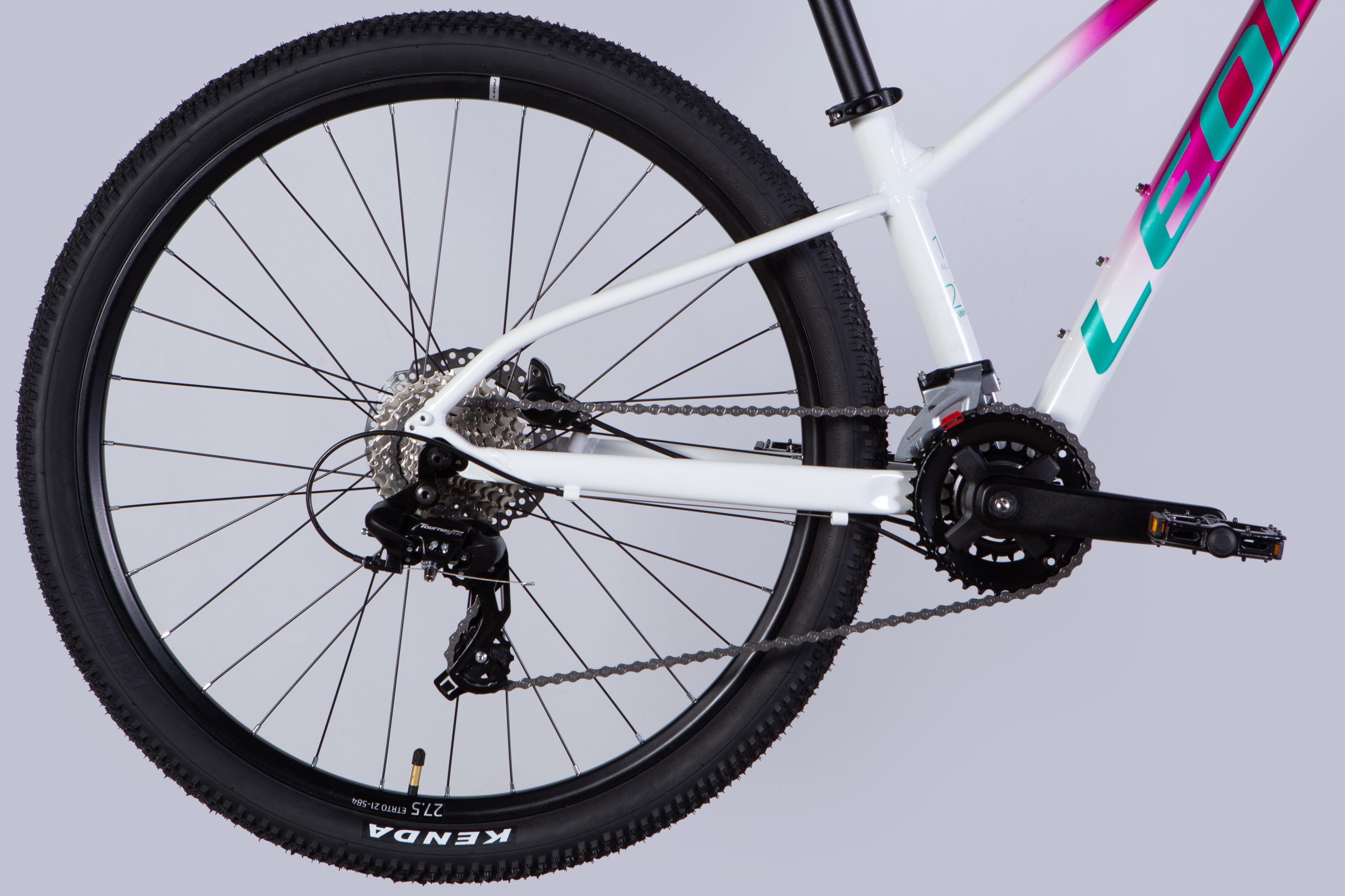 27.5 Leon XC 100 2025