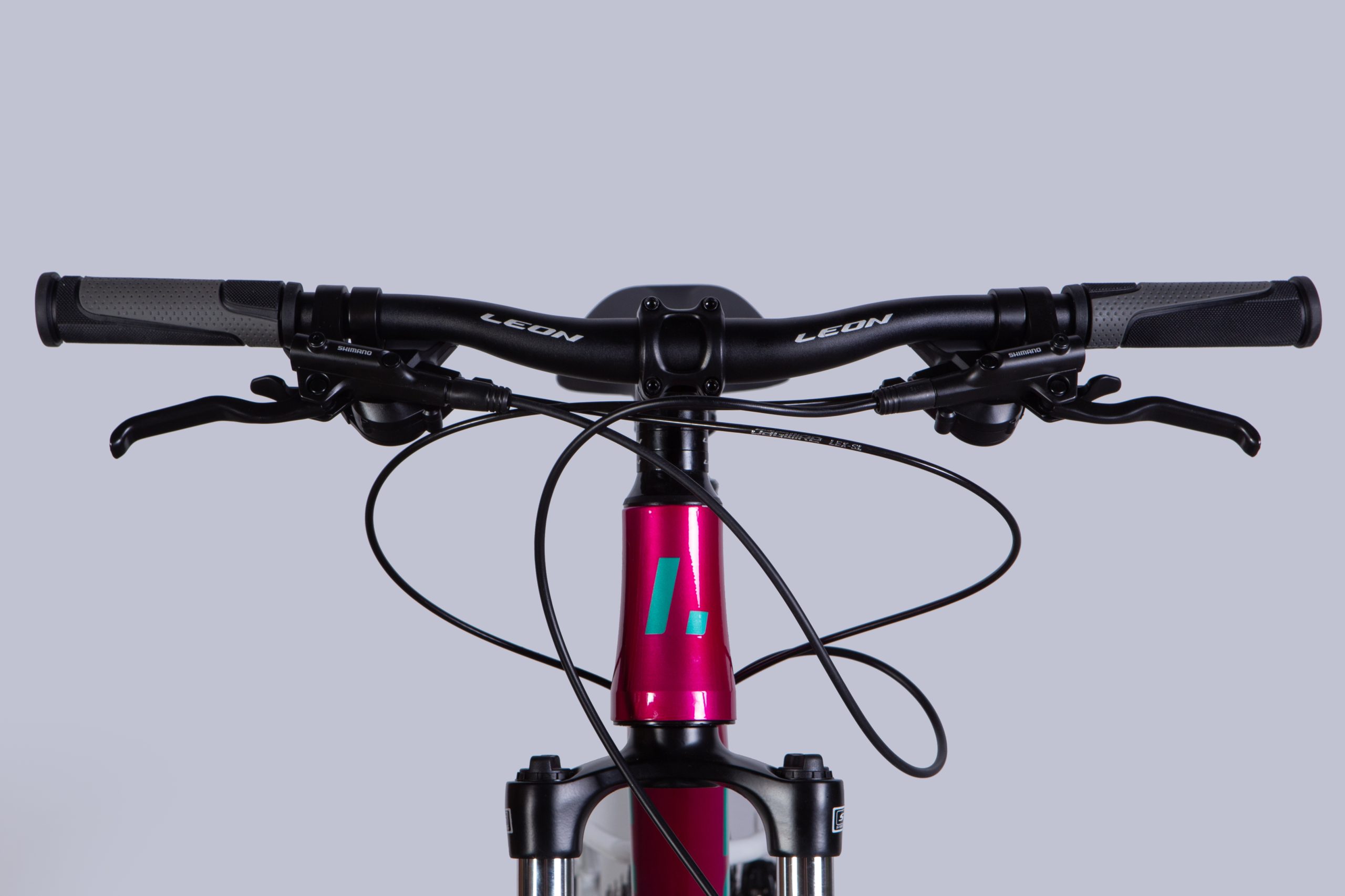 27.5 Leon XC 100 2025