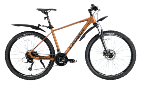 27.5 Cronus Centurion Бронза (18)