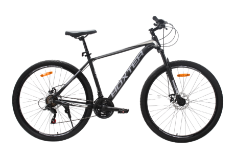 29 CrossBike BOXTER сріблясто-чорний (19)