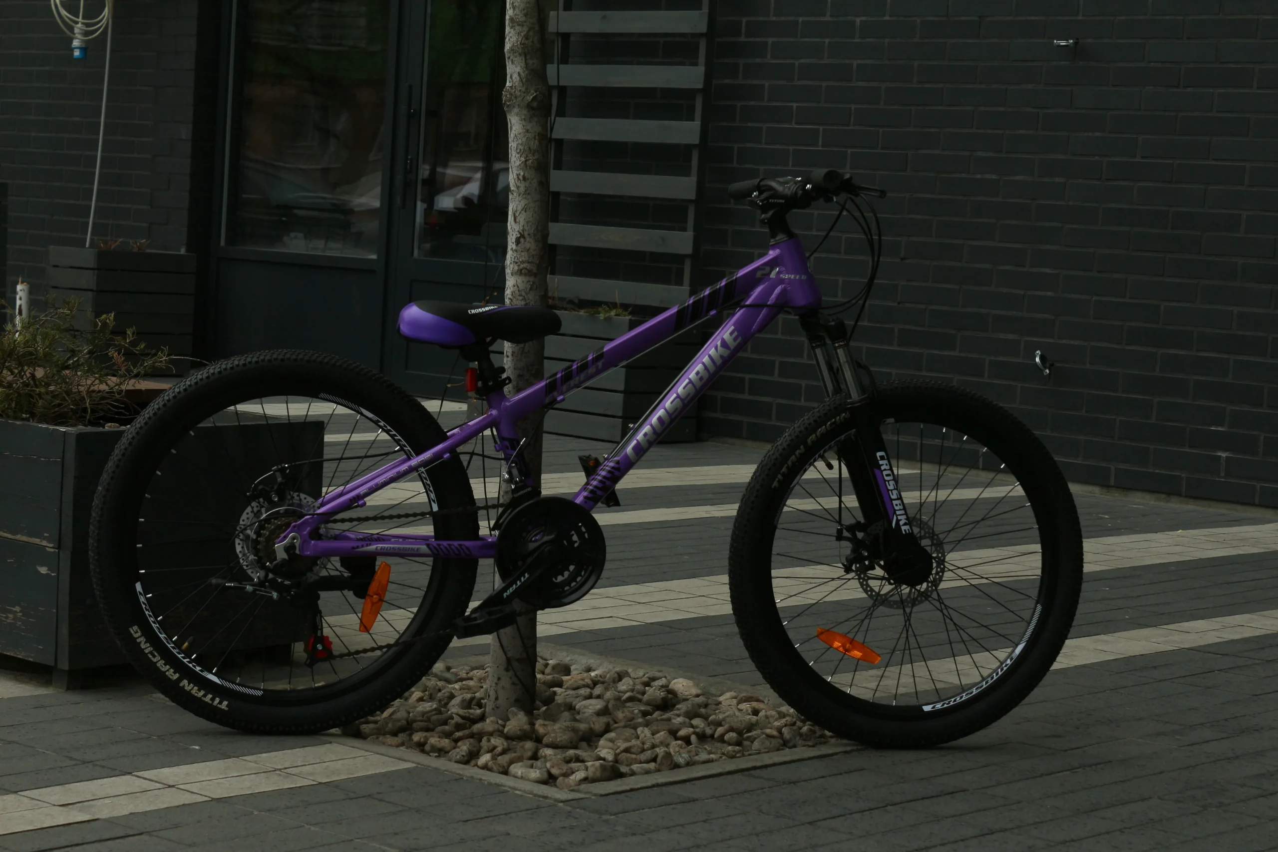 24 CrossBike Everest Фіолетовий (12.5)