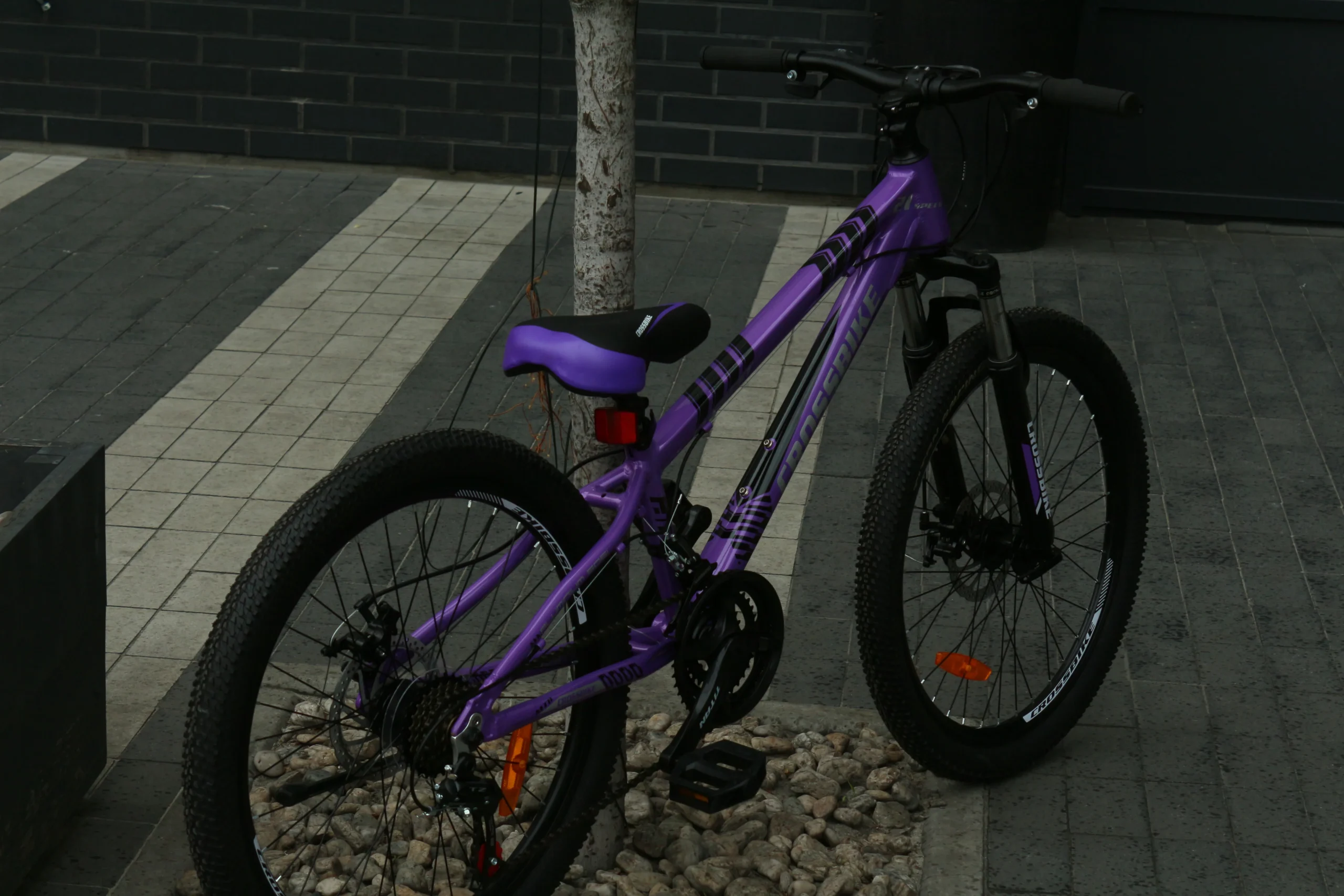 24 CrossBike Everest Фіолетовий (12.5)