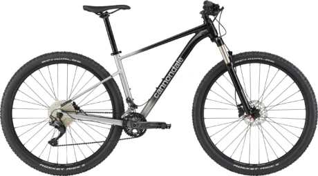 29 Cannondale TRAIL SL 4 сірий (S)