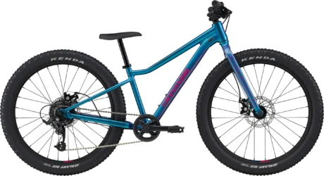 24 Cannondale TRAIL Plus OS DTE синій (One size)