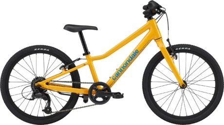 20 Cannondale QUICK OS жовтий (One size)