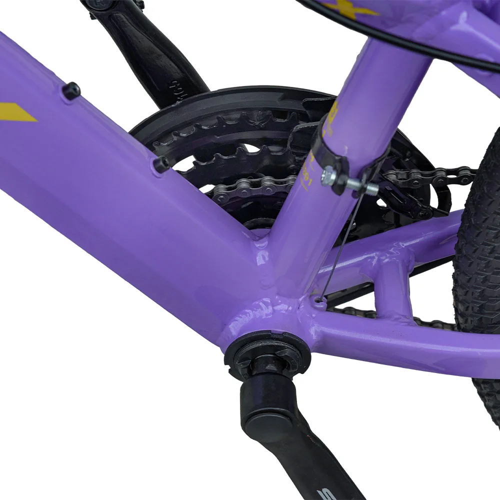 24 Spark Flex бузковий (11)
